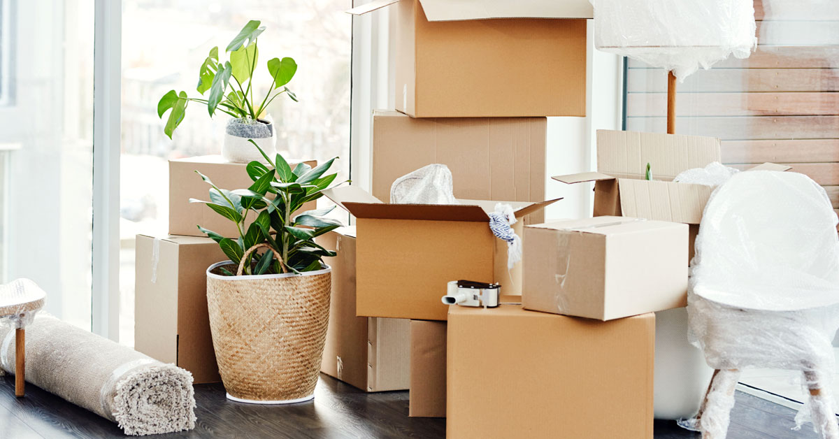 A room with moving supplies and packed boxes