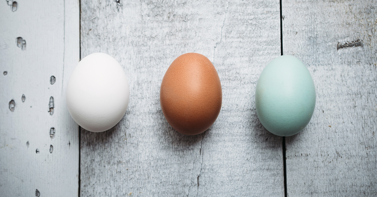 An image of 3 different colored eggs.