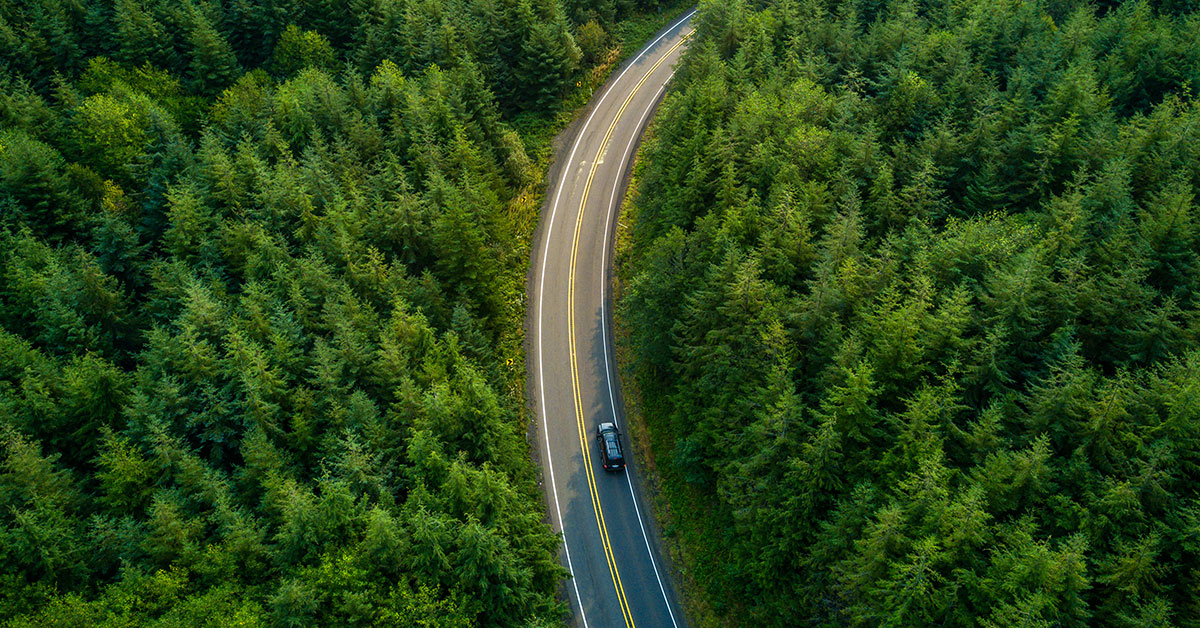 A car is driving on a windy road surrounded by trees.