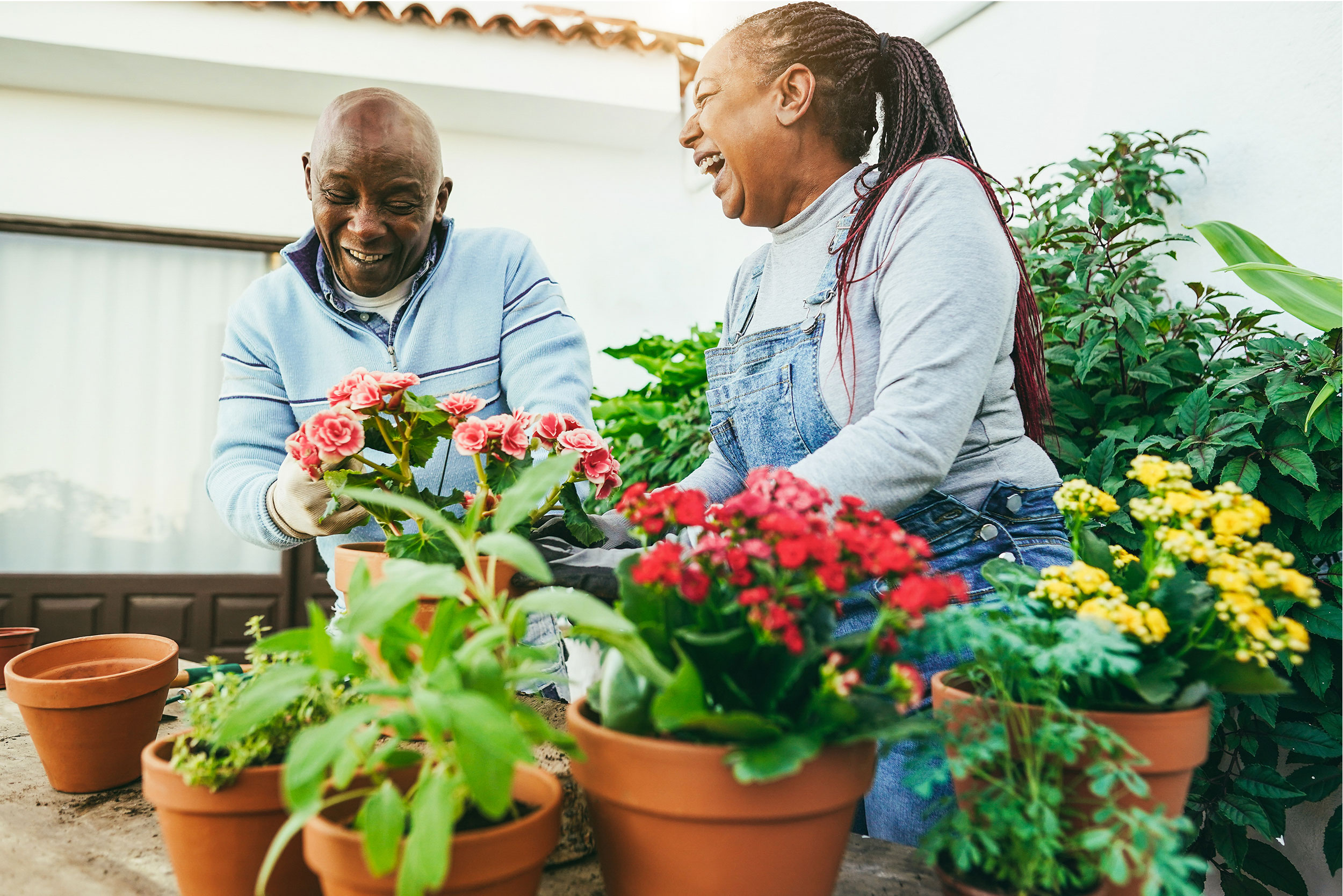 Couple laughing while gardening